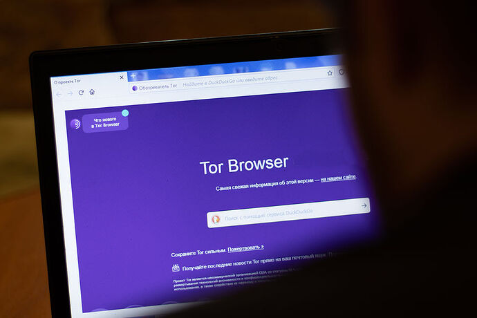 Tor browser заблокировали mega2web фильмы про darknet