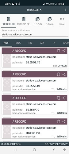 Screenshot_20240506-232740_DNSDig