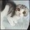 LazyGatto