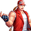 mrTerryBogard
